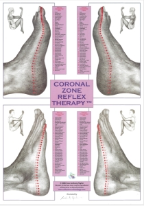 Coronal-Zone-Reflex-Therapy-chart Coronal-Zone-Reflex-Therapy-chart