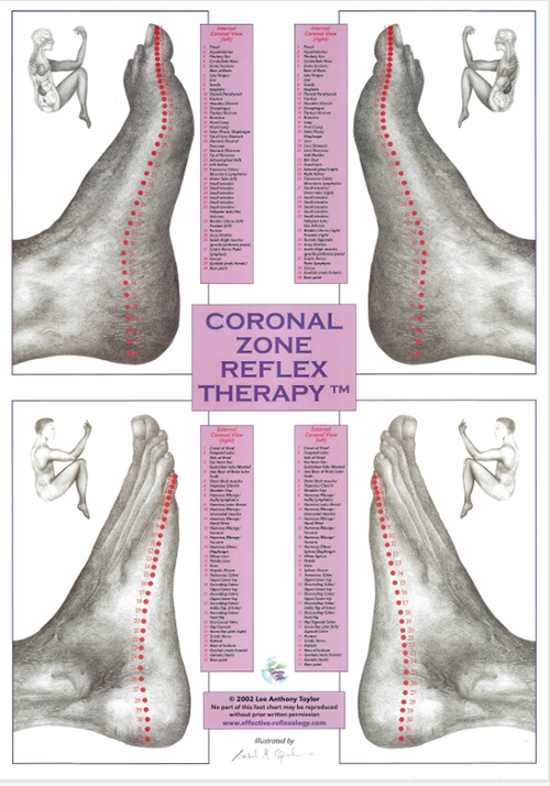 Coronal-Zone-Reflex-Therapy-chart